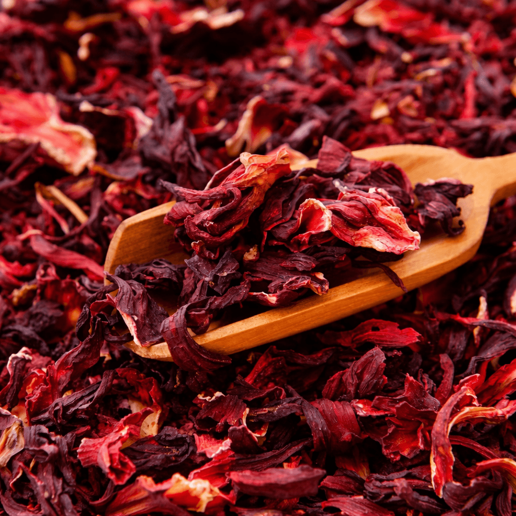 Texture de forêt naturelle